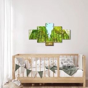 Obraz - Widok na las (125x70 cm)