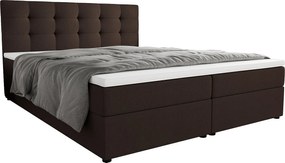 BEDANTE Łóżko kontynentalne Fado 2 160x200 Cosmic 800, ciemnobrązowy, pojemnik na pościel