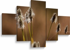 Obraz - Trawa (125x70 cm)