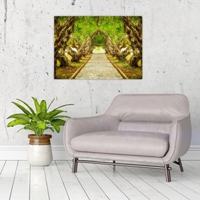 Obraz - Żywy tunel plumerii (70x50 cm)