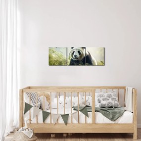 Obraz - Panda (z zegarem) (90x30 cm)