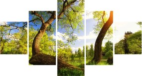 Obraz wiosennej łąki (125x70 cm)