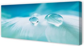 Obraz na płótnie Makrofotografia Kropli Wody
