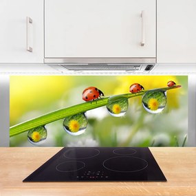 Panel Szklany Biedronka na Zielonym Liściu