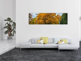 Obraz drzewa (170x50 cm)