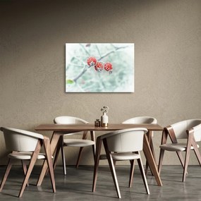 Obraz na szkle - mrożone owoce dzikiej róży (70x50 cm)