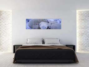 Obraz - Niedźwiadki polarne (170x50 cm)