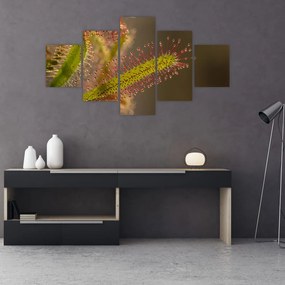 Obraz rośliny (125x70 cm)
