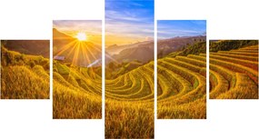 Obraz - Pole ryżowe w Wietnamie (125x70 cm)