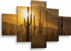Obraz - Kaktusy Saguaro (125x70 cm)