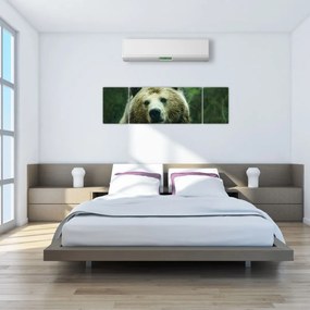 Obraz niedźwiedzia (170x50 cm)