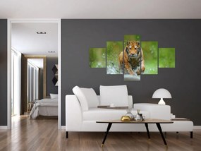 Obraz - Biegnący tygrys (125x70 cm)