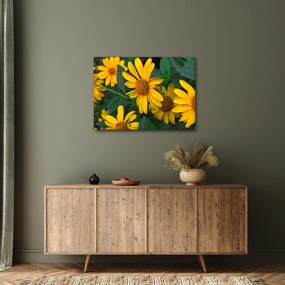 Obraz żółtych kwiatów (70x50 cm)