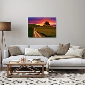 Obraz na szkle - pole i kolorowe niebo (70x50 cm)