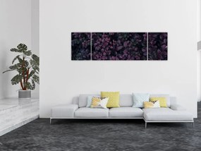 Obraz ciemnoczerwonych liści (170x50 cm)