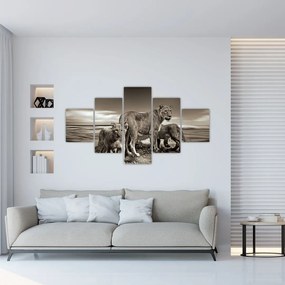 Obraz czarno - białych lwów (125x70 cm)