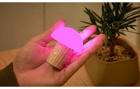 Lampa stołowa LED ze ściemniaczem z litego drewna jesionowego (wysokość 7 cm) Alice – Gingko