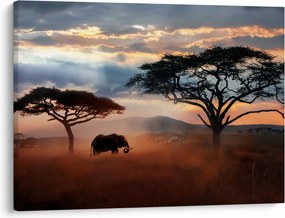 Obraz - Park Narodowy Serengeti, Tanzania, Afryka (70x50 cm)