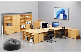 Szafa ubraniowa z wysuwem PRIMO WOOD, 800 x 420 x 1781 mm, buk