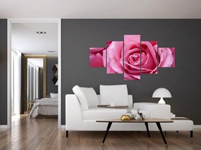 Obraz róży (125x70 cm)