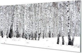 Szklany Panel Zimowy Las Brzozowy