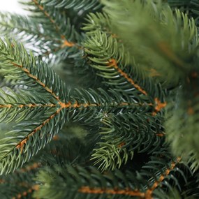 Świerk kwitnący ekstra gęsty 180 cm
