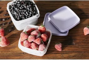 SmartStore Zestaw plastikowych pojemników Freezer 3 szt., lawenda, 1000 ml, 1000 ml