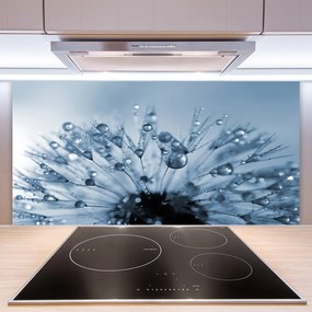 Panel Szklany do Kuchni Dmuchawiec w Porannej Rosie