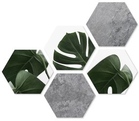 Obrazy zestaw 5 szt. 33,2x29,5 cm Heksagon