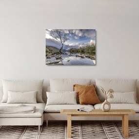 Obraz na szkle - rzeka z drzewem (70x50 cm)