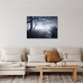 Obraz- Droga we mgle (70x50 cm)
