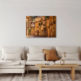 Obraz - Hiszpańska Ulica (70x50 cm)