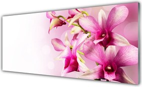 Dekor Szklany do Kuchni Wiosenna Świeżość Kwiatów