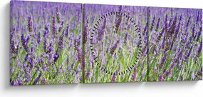 Obraz pola z lawendą (z zegarem) (90x30 cm)