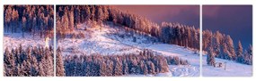 Obraz zimowego krajobrazu (170x50 cm)