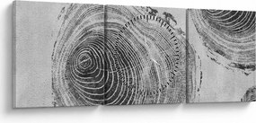 Obraz - Motyw drzewa (z zegarem) (90x30 cm)