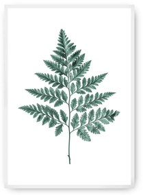 Plakat Fern Emerald Green