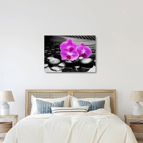 Obraz na szkle - Fioletowe orchidee (70x50 cm)