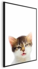 Plakat Zirytowany kot 21x30 cm z ramą czarną bez marginesu ARTGEIST B