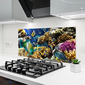 Panel Szklany do Kuchni Kolorowe Życie Rafy Koralowej