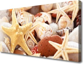 Obraz canvas Kompozycja Muszli na Brzegu