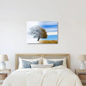 Obraz na szkle - Zmiana pór roku (70x50 cm)