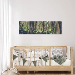 Obraz ścieżki pomiędzy drzewami (170x50 cm)