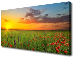 Obraz Canvas Słońce Łąka Kwiaty Natura