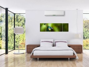 Obraz pawia (170x50 cm)
