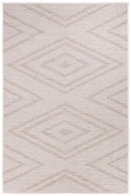 Dywan Flora 50013/D9TW 133x190 Prostokąt