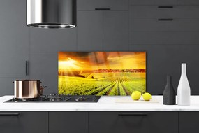 Panel Kuchenny Złota Godzina Nad Polem