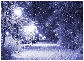 Obraz na szkle - Magiczna zimowa noc (70x50 cm)
