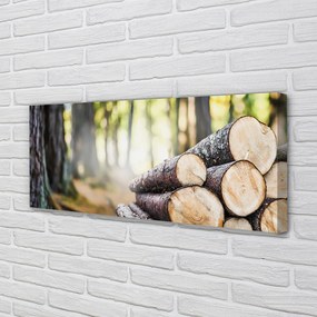 Obraz drukowany na płótnie Esencja Drewna Z Lasu