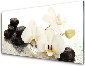 Panel Szklany Równowaga Natury: Kwiat i Kamień
